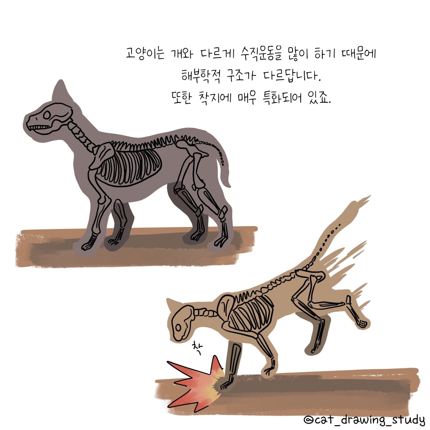 본문 이미지 -  