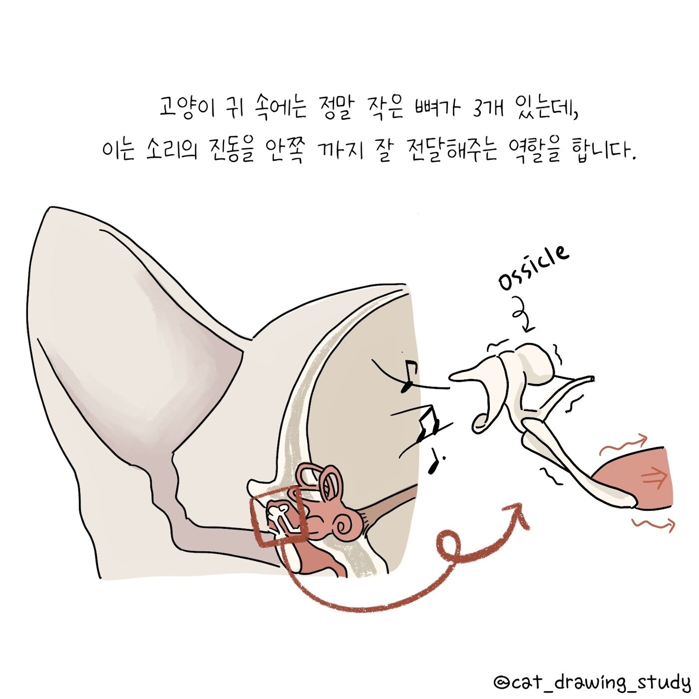 본문 이미지 -  