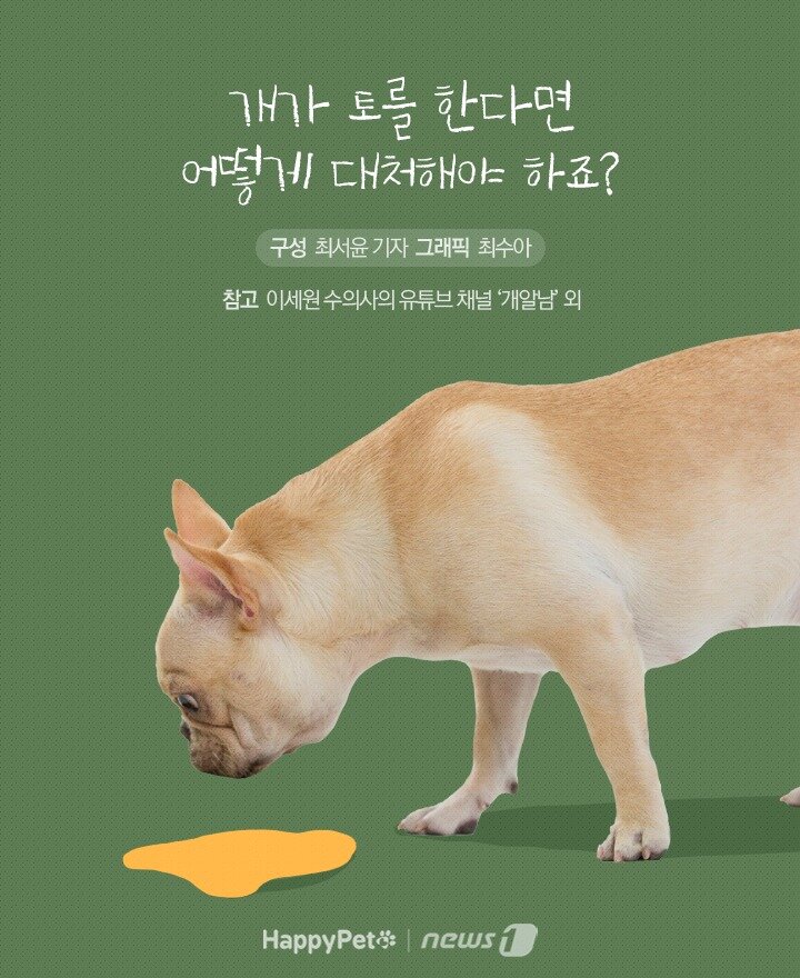 본문 이미지 -  