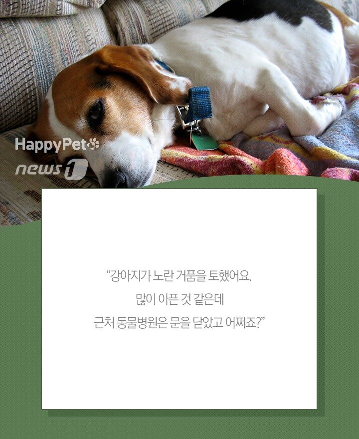 본문 이미지 -  