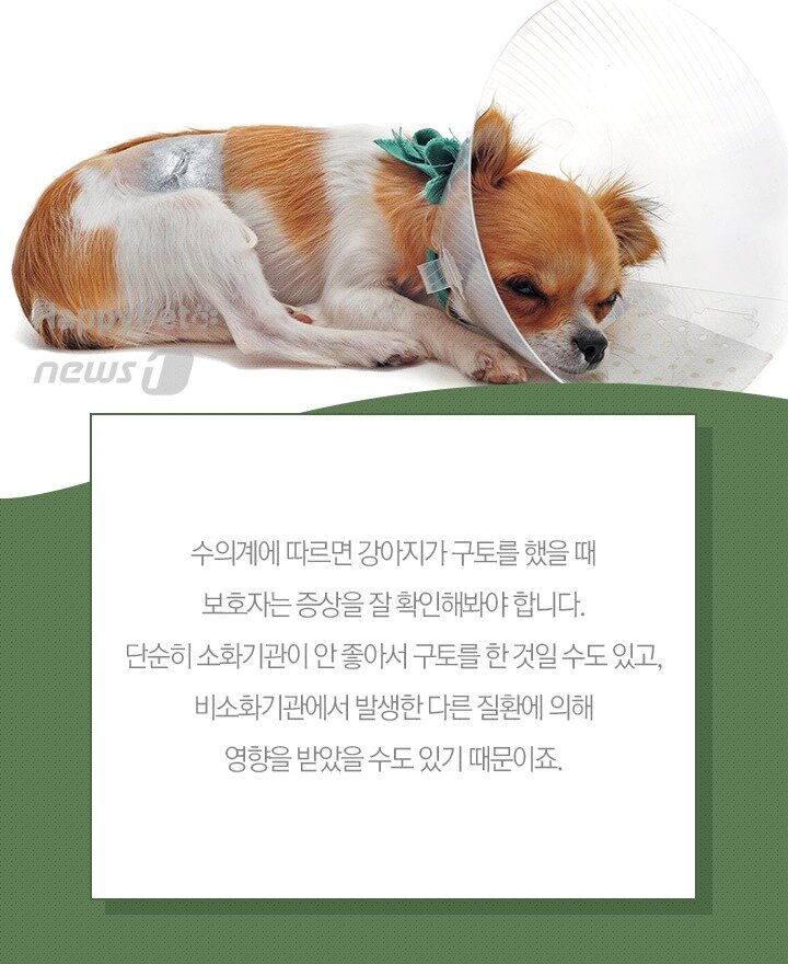 본문 이미지 -  