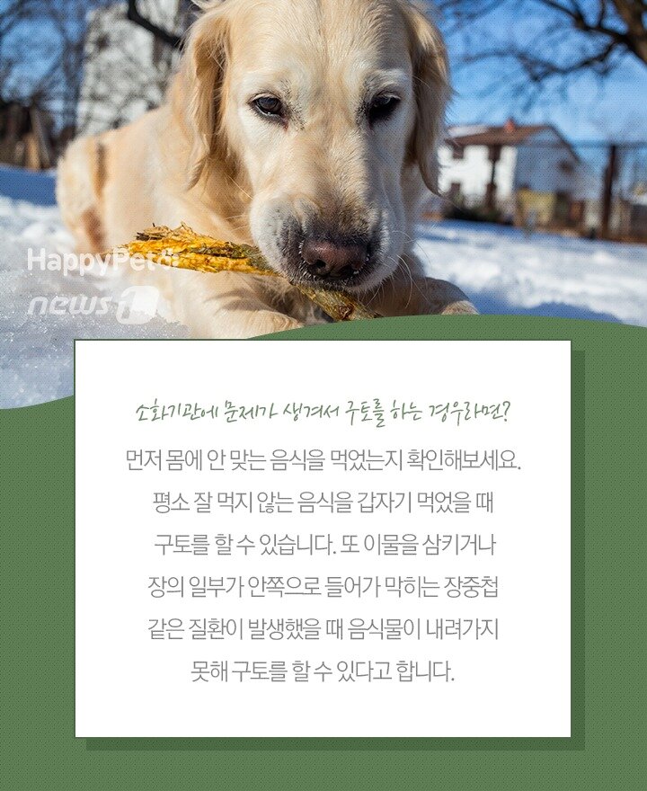 본문 이미지 -  