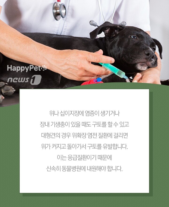 본문 이미지 -  