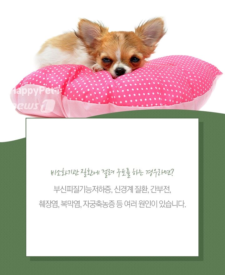 본문 이미지 -  