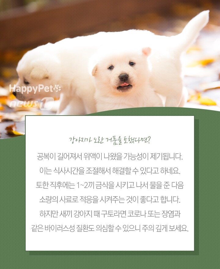 본문 이미지 -  