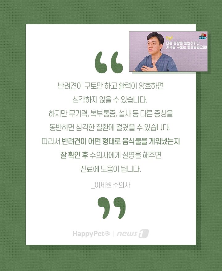 본문 이미지 -  