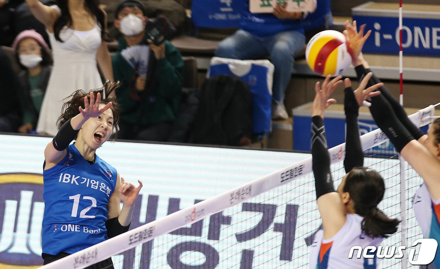 본문 이미지 - 5일 경기 화성실내체육관에서 열린 도드람 2019-2020 V리그 기업은행과 GS칼텍스의 경기에서 기업은행 백목화가 스파이크 공격을 하고 있다.(기업은행 배구단 제공)2020.2.5/뉴스1