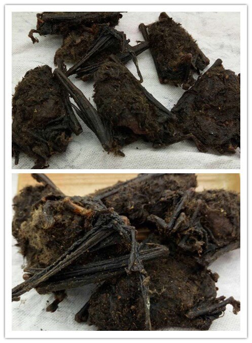 본문 이미지 - 알리바바에서 판매중인 식용 말린 박쥐 <알리바바닷컴 갈무리>