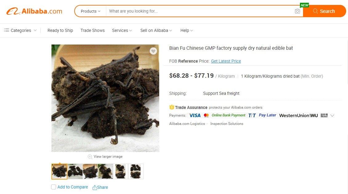 본문 이미지 - 알리바바에서 팔리는 식재료 박쥐 <알리바바 닷컴 갈무리>