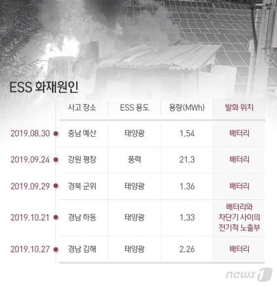 본문 이미지 - ⓒ News1 최수아 디자이너