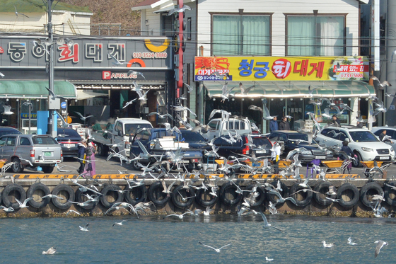 걷고, 먹고, 파도 소리 듣는 여행…요즘 영덕이 뜨는 이유