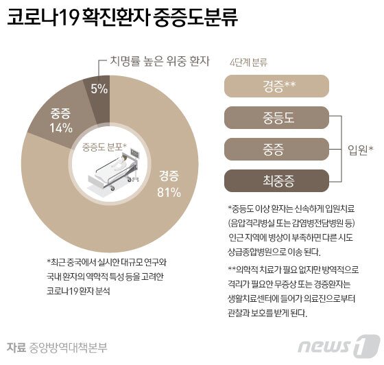 본문 이미지 - ⓒ News1 김일환 디자이너