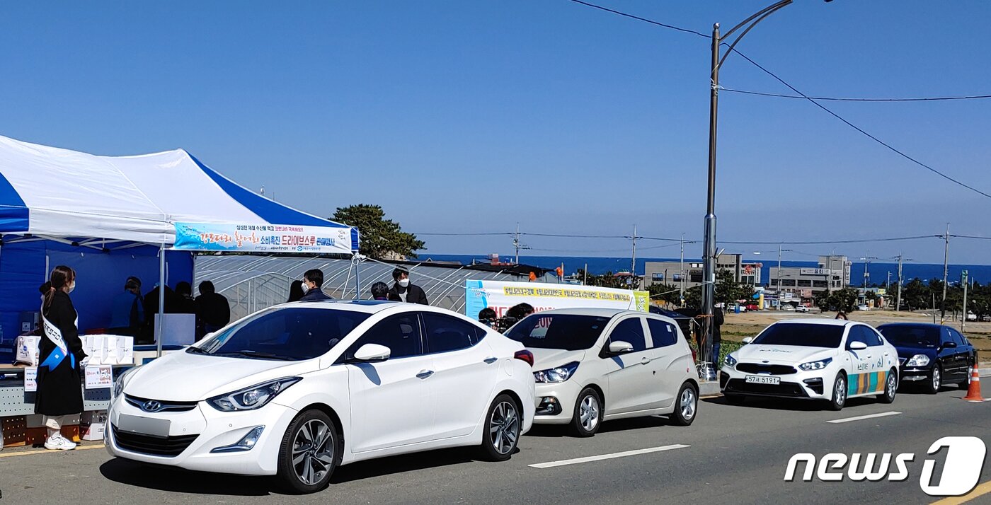 본문 이미지 - 14일 경북 포항시가 남구 호미곶면 호미곶 광장에서 제철 생선인 강도다리 회를 드라이브스루 방식으로 판매하고 있다. 포항시는 15일, 21.22일 세차례 더 운영할 계획이다. (포항시제공) 2020.3.14/뉴스1 ⓒ News1 