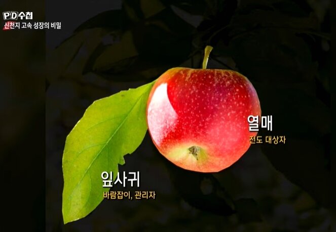 본문 이미지 - MBC &#39;PD수첩&#39;에서 방송된 &#39;코로나19와 신천지 2부-신천지 고속성장의 비밀&#39; 방송화면 갈무리 ⓒ 뉴스1
