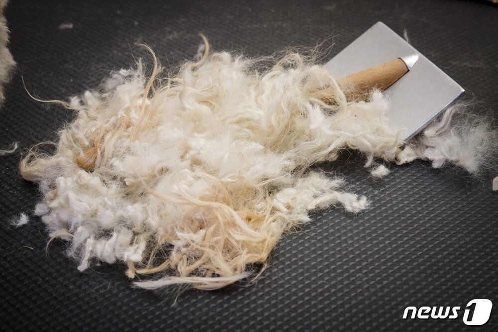 본문 이미지 - 사진 이미지투데이 ⓒ 뉴스1