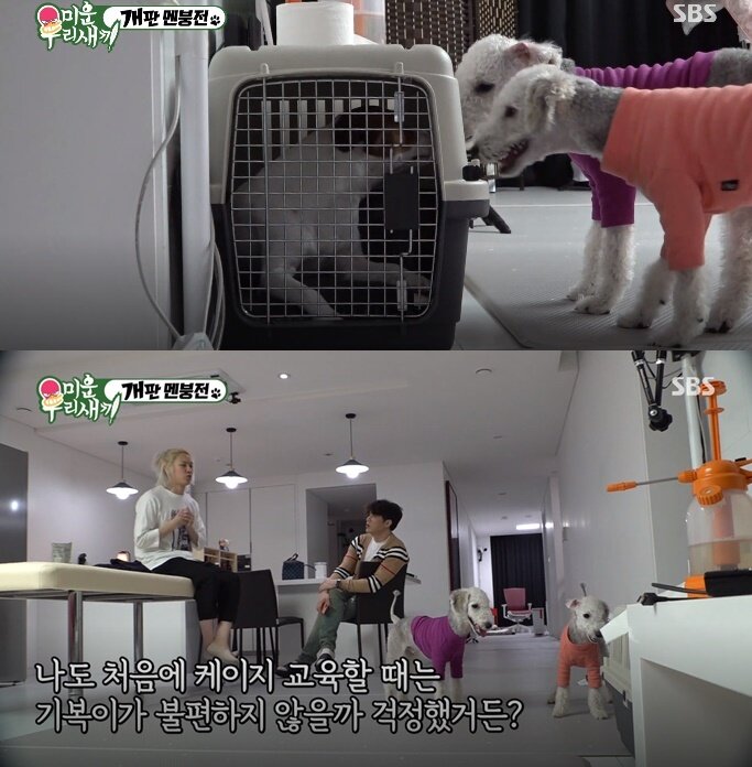 본문 이미지 - SBS '미운우리새끼' ⓒ 뉴스1