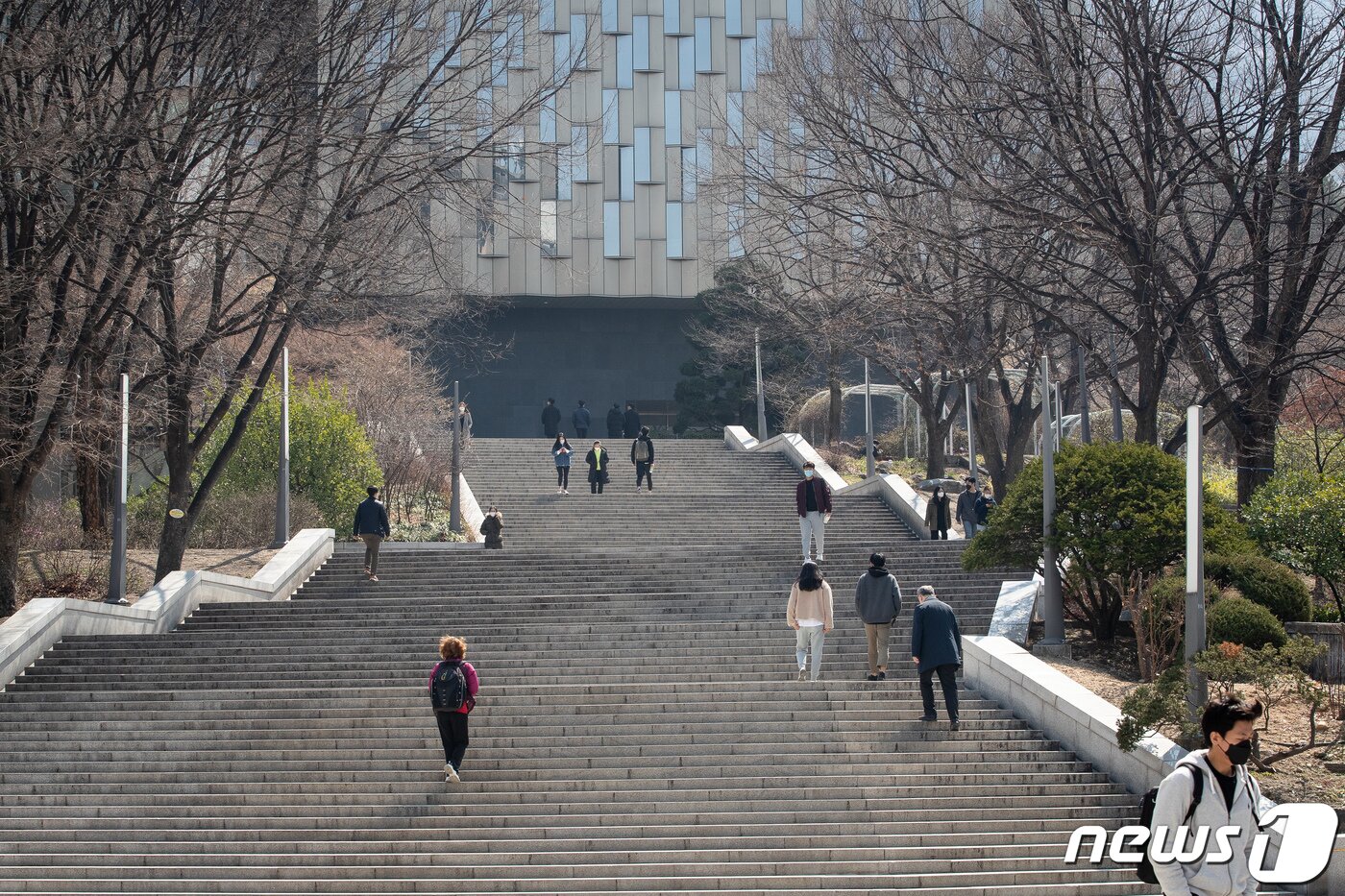 본문 이미지 - 대학교 캠퍼스. (사진은 기사 내용과 무관함) /뉴스1 ⓒ News1 유승관 기자
