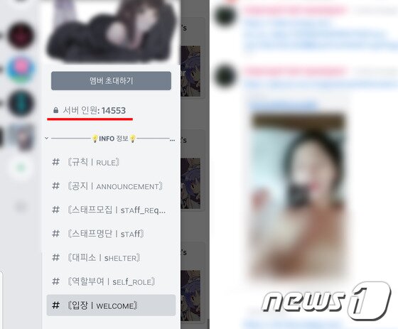 제2의 N번방…디스코드서 한국 검색시 음란물 서버 버젓이