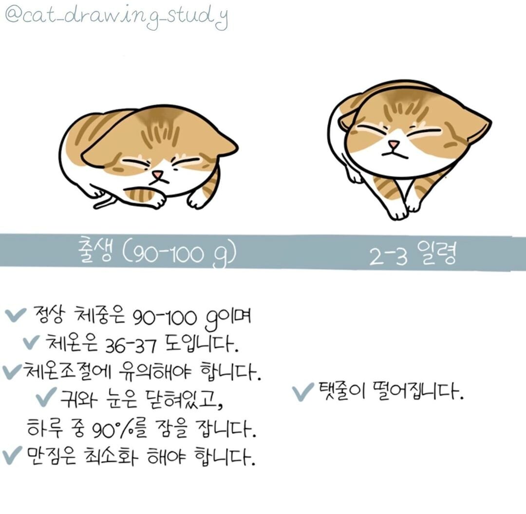 본문 이미지 - ⓒ 뉴스1