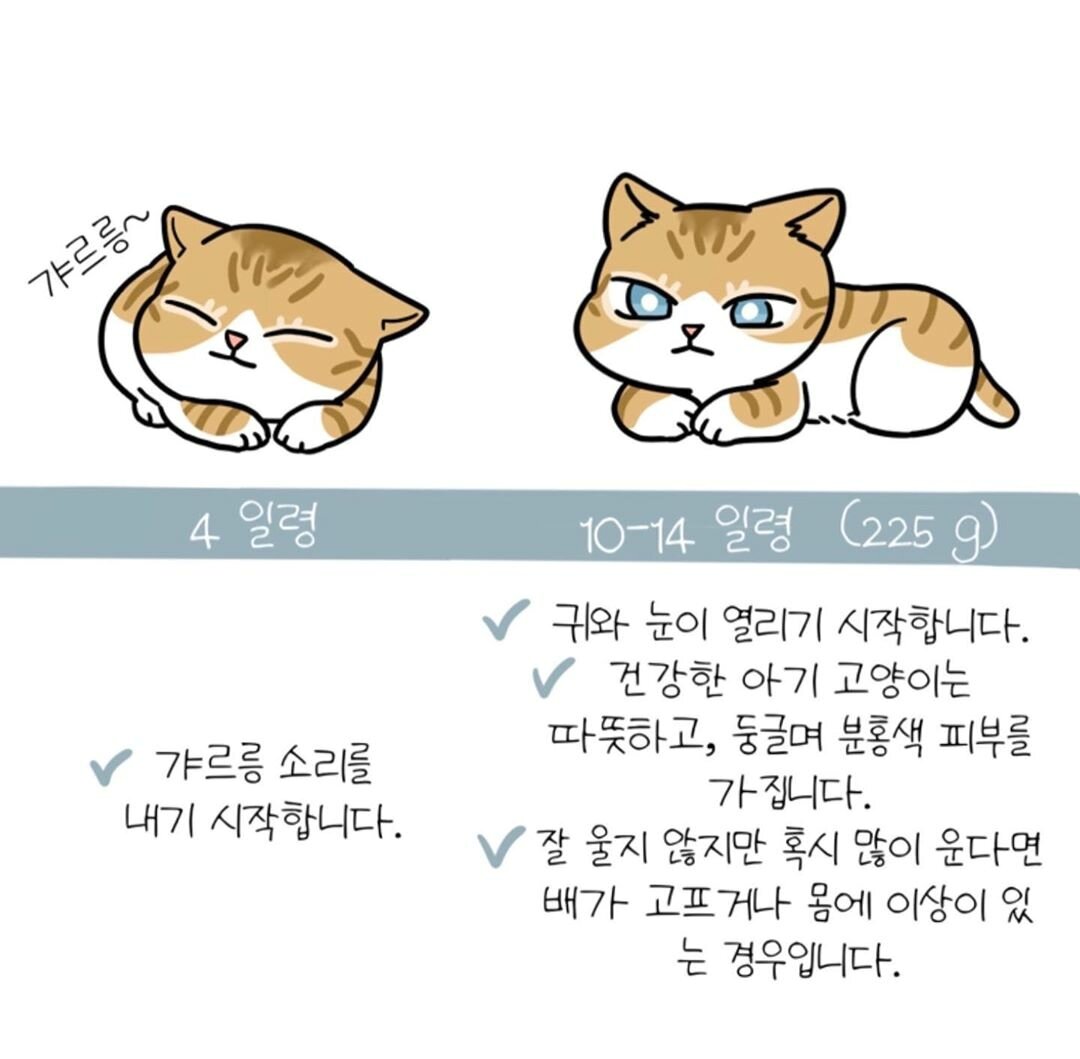 본문 이미지 - ⓒ 뉴스1