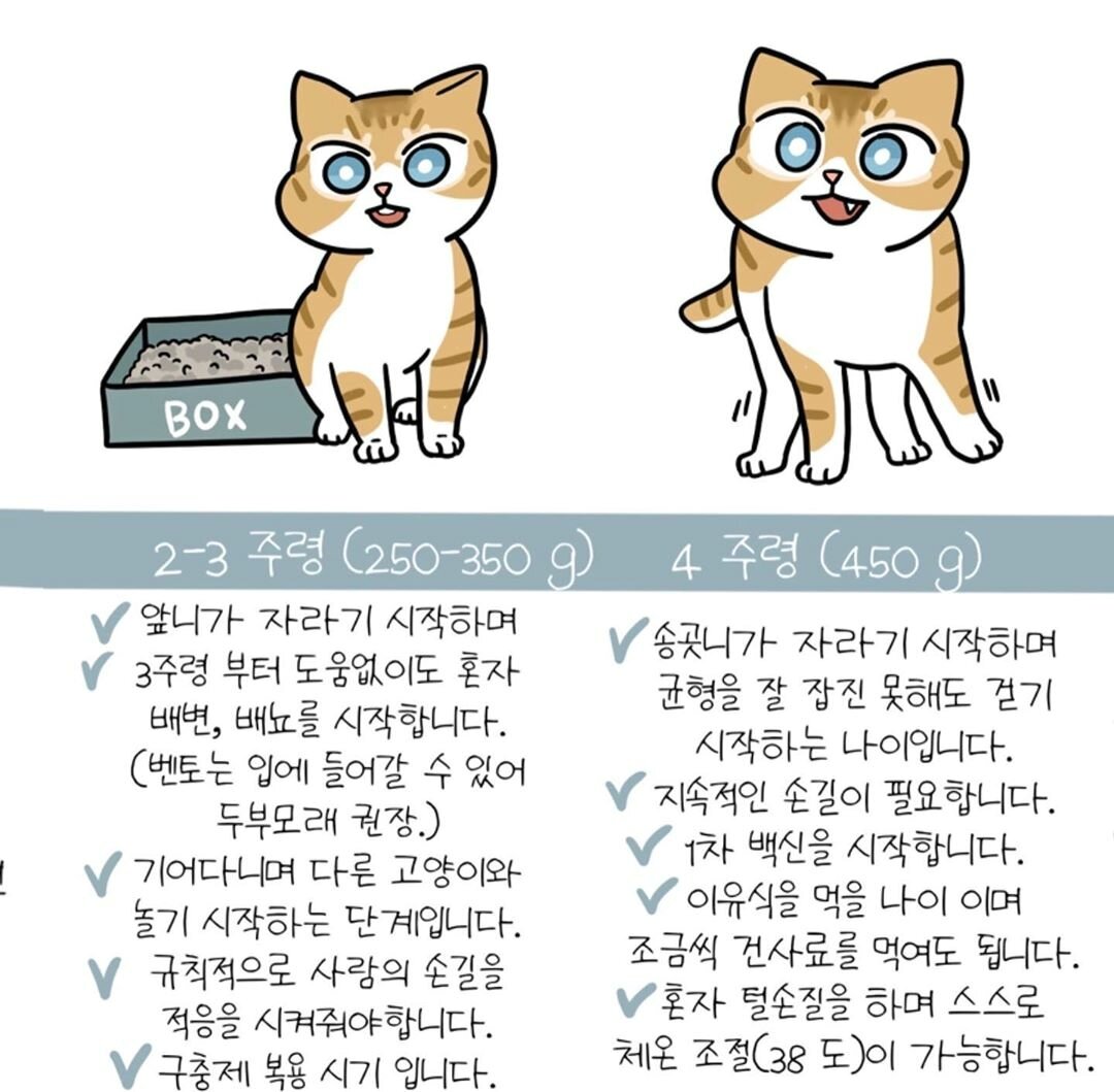본문 이미지 - ⓒ 뉴스1