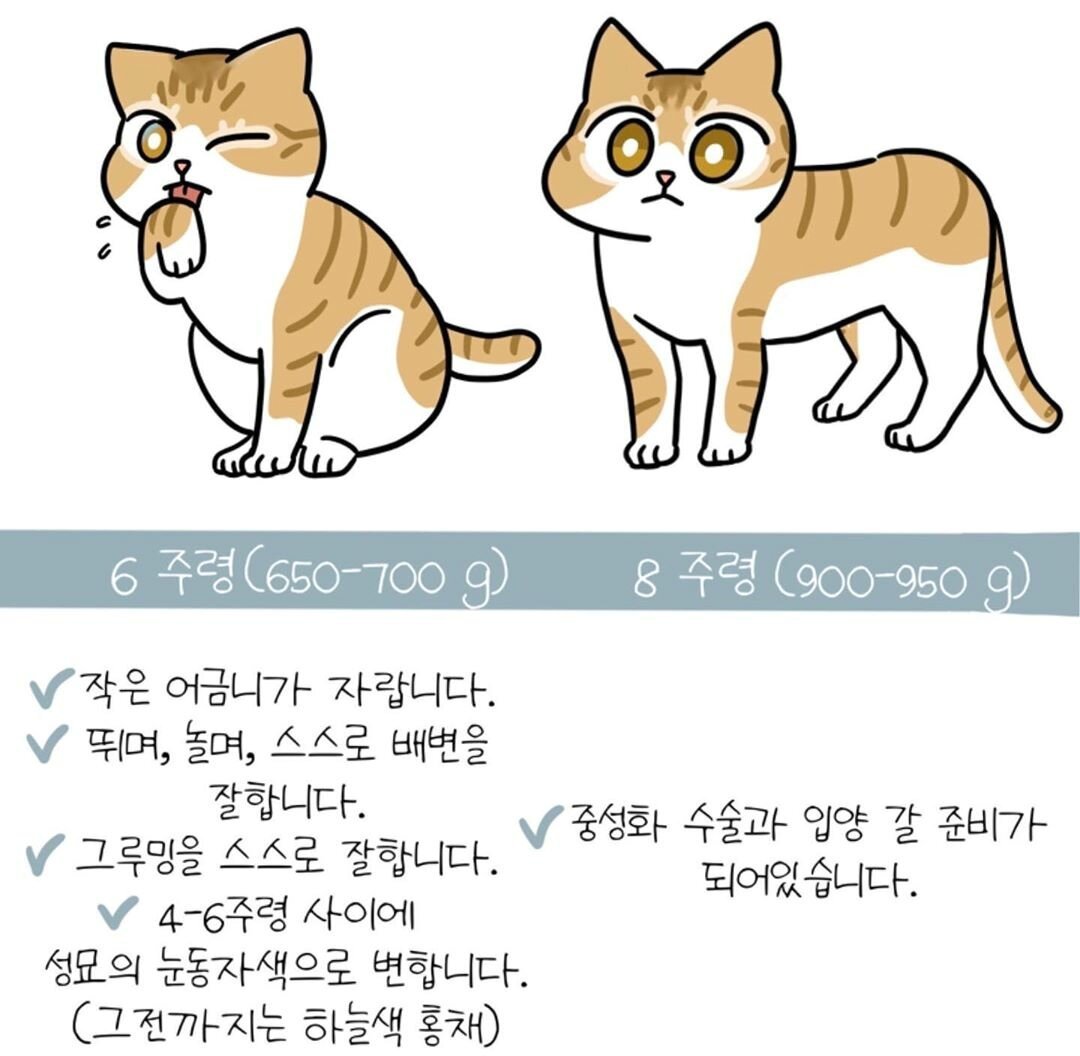 본문 이미지 - ⓒ 뉴스1