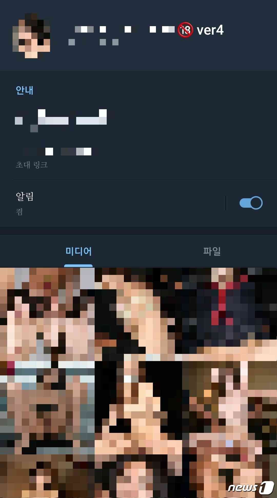 단독] '유명 女아이돌 딥페이크' 텔레그램방 확인…경찰 엄정 수사 - 뉴스1