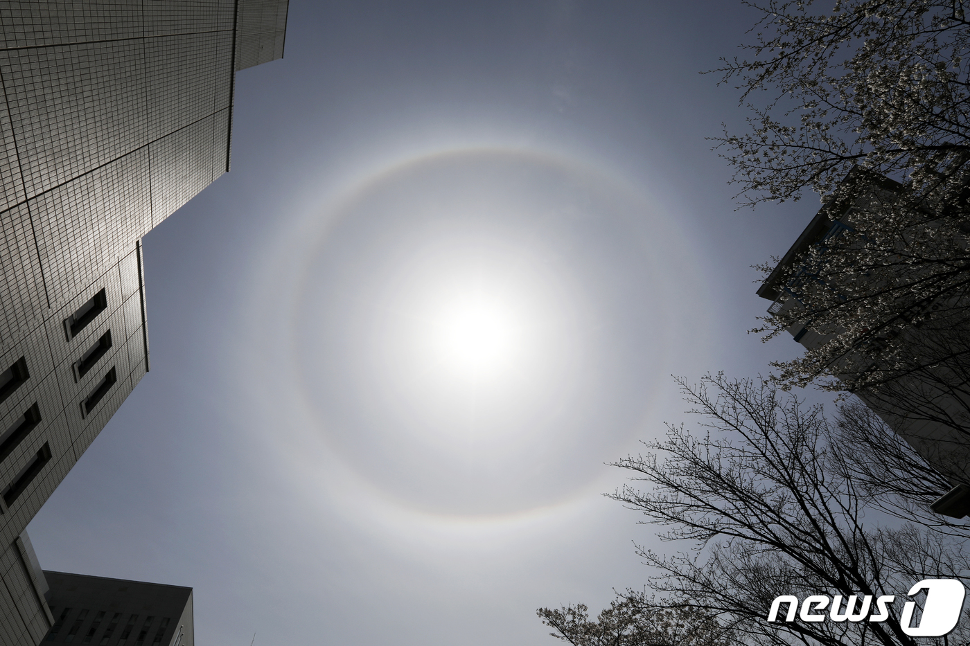 (서울=뉴스1) 민경석 기자 = 28일 서울 하늘에서 해무리가 괄찰되고 있다. 해무리는 햇빛이 대기 중 수증기에 굴절돼 태양 주변으로 둥근 원 모양의 무지개가 생기는 현상이다.'태 …