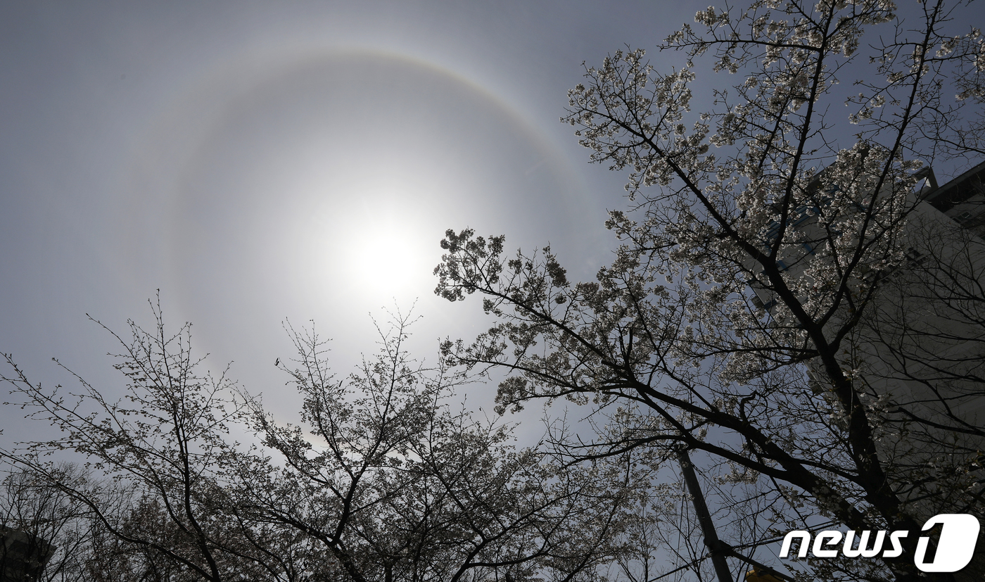 (서울=뉴스1) 민경석 기자 = 28일 서울 하늘에서 해무리가 괄찰되고 있다. 해무리는 햇빛이 대기 중 수증기에 굴절돼 태양 주변으로 둥근 원 모양의 무지개가 생기는 현상이다.'태 …