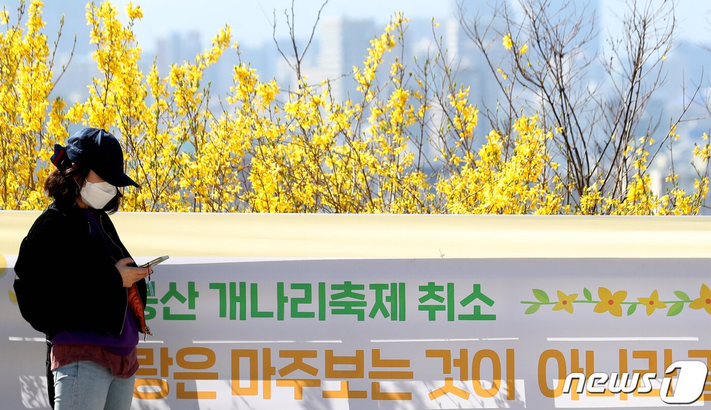 본문 이미지 - 3월 29일 오전 서울 성동구 응봉산에 '개나리 축제 취소'를 알리는 현수막이 걸려 있다. 성동구는 코로나19 지역사회 확산을 차단 하기위해 '응봉산 개나리 축제'를 취소한다고 밝혔다. 2020.3.29/뉴스1 ⓒ News1 황기선 기자