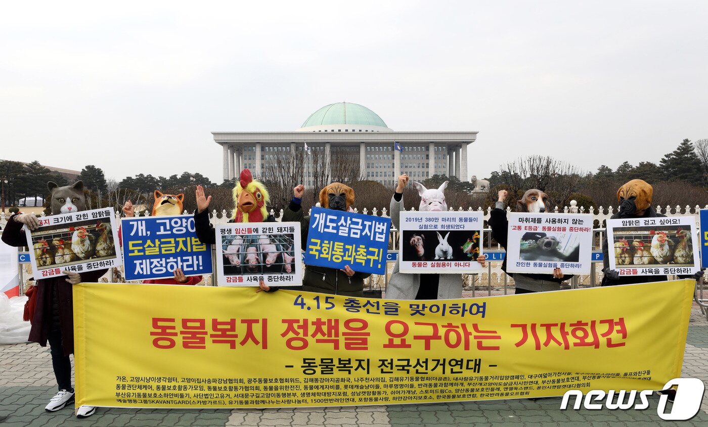 본문 이미지 - 동물복지 전국선거연대 회원들이 3일 오후 서울 여의도 국회 앞에서 개, 고양이 도살금지법 제정 등 동물복지 정책을 요구하는 기자회견을 하고 있다.2020.3.3/뉴스1 ⓒ News1 이광호 기자