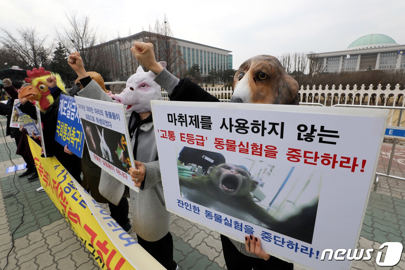 본문 이미지 - 동물복지 전국선거연대 회원들이 3일 오후 서울 여의도 국회 앞에서 개, 고양이 도살금지법 제정 등 동물복지 정책을 요구하는 기자회견을 하고 있다.2020.3.3/뉴스1 ⓒ News1 이광호 기자
