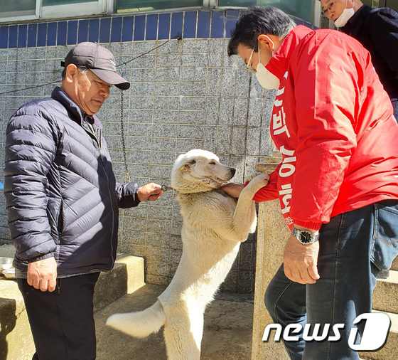 반려견과 인사 