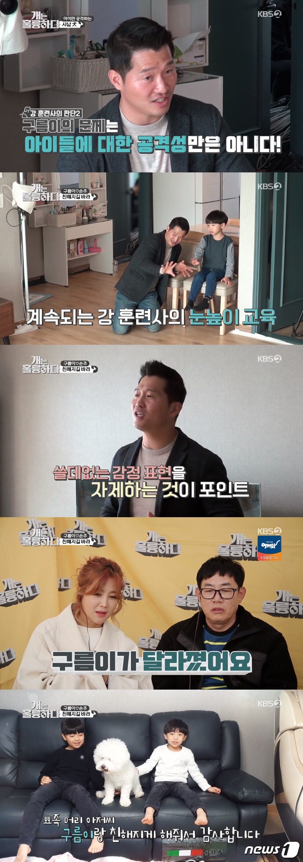 본문 이미지 - KBS '개는 훌륭하다' 방송 ⓒ 뉴스1