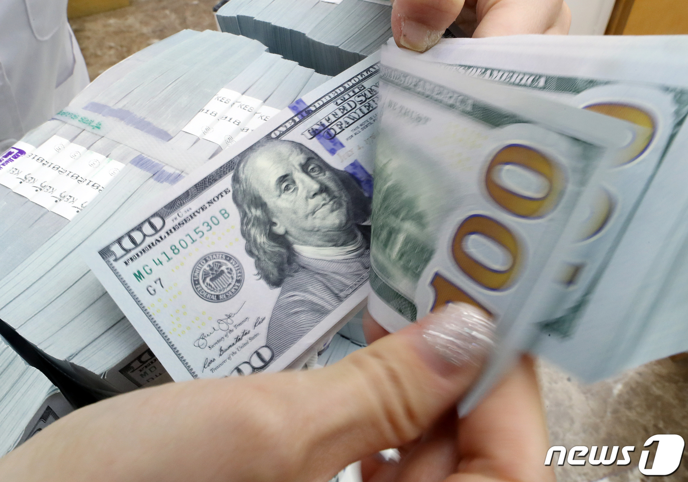 외환보유액, 6개월 만에 감소 - 뉴스1