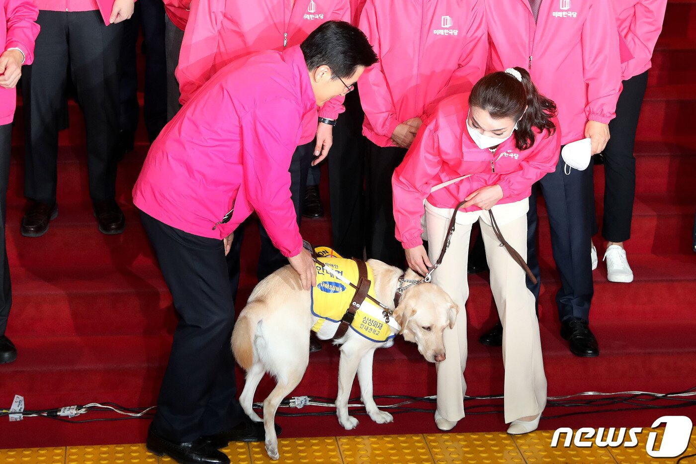 본문 이미지 - 황교안 전 미래통합당 대표가 지난 1일 서울 여의도 국회 로텐더홀 계단앞에서 김예지 미래한국당 당선인의 안내견 '조이'를 쓰다듬고 있고 있는 모습. 2020.4.1/뉴스1 ⓒ News1 임세영 기자