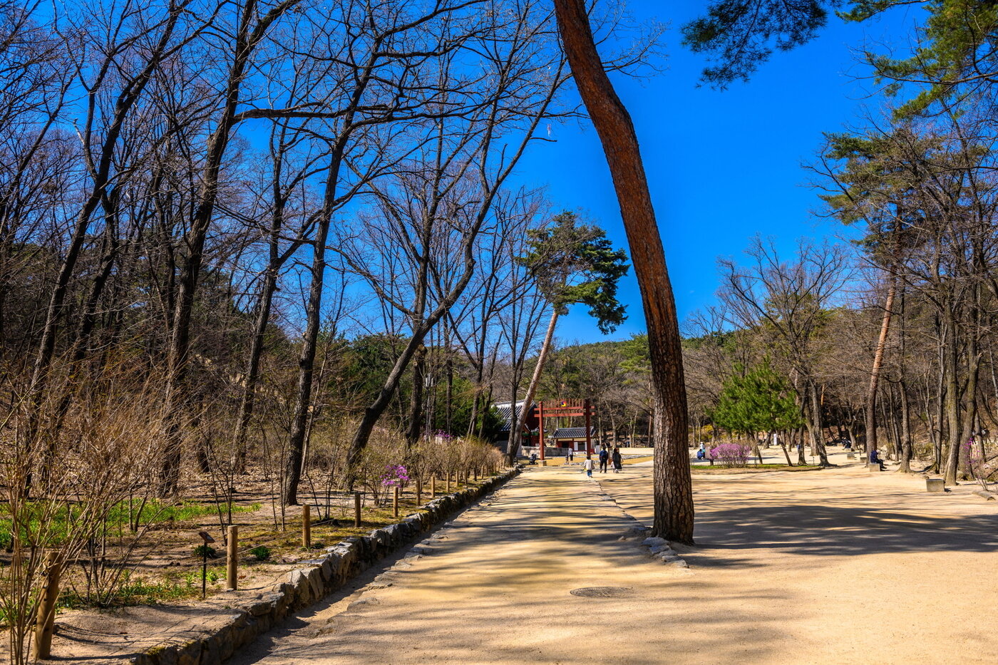 본문 이미지 - 승민과 서연이 만났던 정릉 초입 숲길