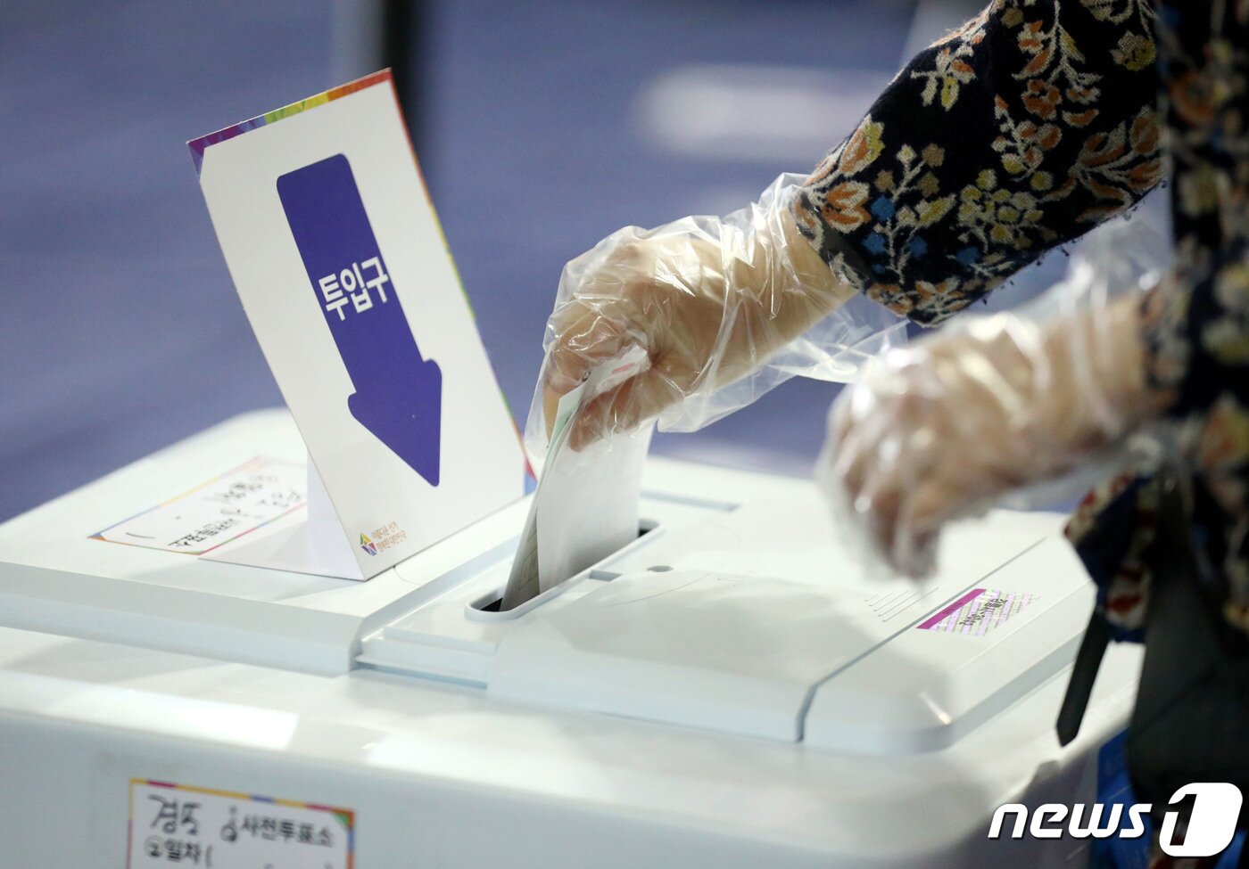 본문 이미지 - 4.15 총선 사전투표 마지막 날인 지난 11일 오후 강원 강릉선거구 유권자들이 경포대 초등학교에서 투표를 하고 있다.2020.4.11/뉴스1 ⓒ News1 장시원 인턴기자