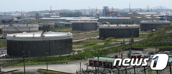 https://image.news1.kr/system/photos/2020/4/22/4165080/article.jpg/dims/optimize https://image.news1.kr/system/photos/2020/4/22/4165080/article.jpg/dims/optimize