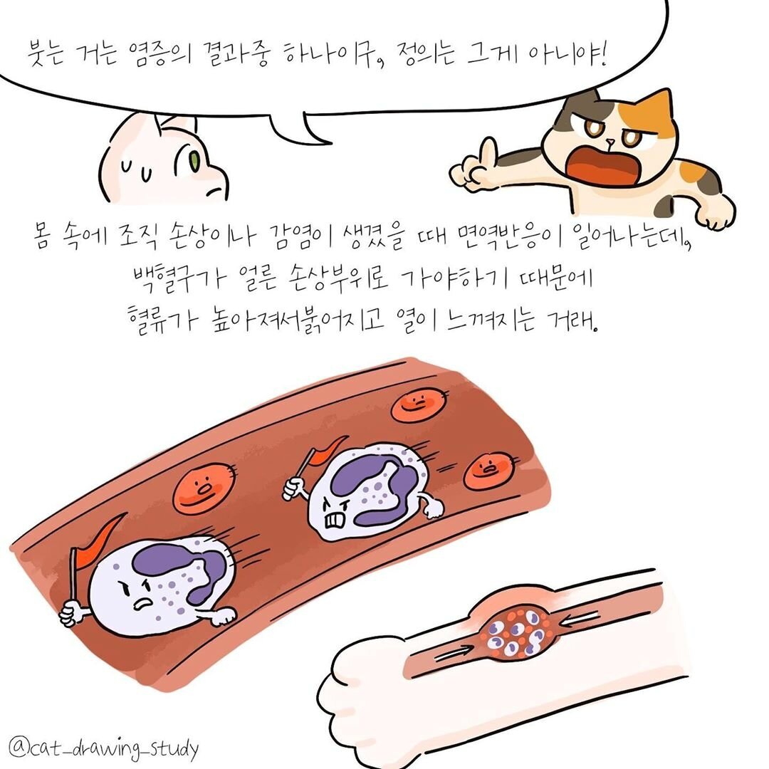 본문 이미지 -  