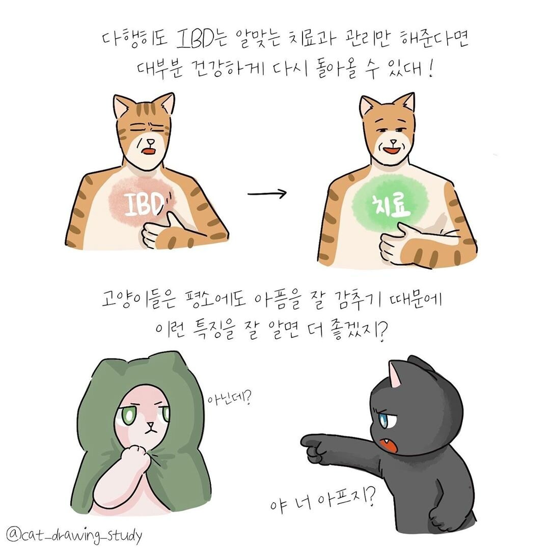 본문 이미지 -  