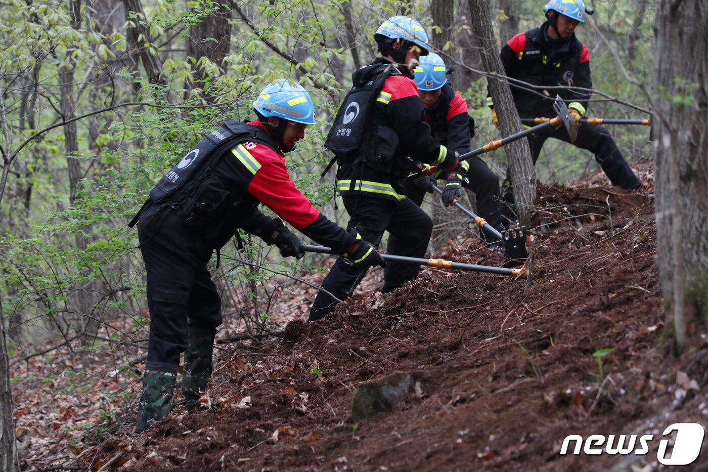 본문 이미지 - 북부지방산림청 산불재난특수진화대 산불 현장 진화훈련/뉴스1 ⓒ News1 권혜민 기자