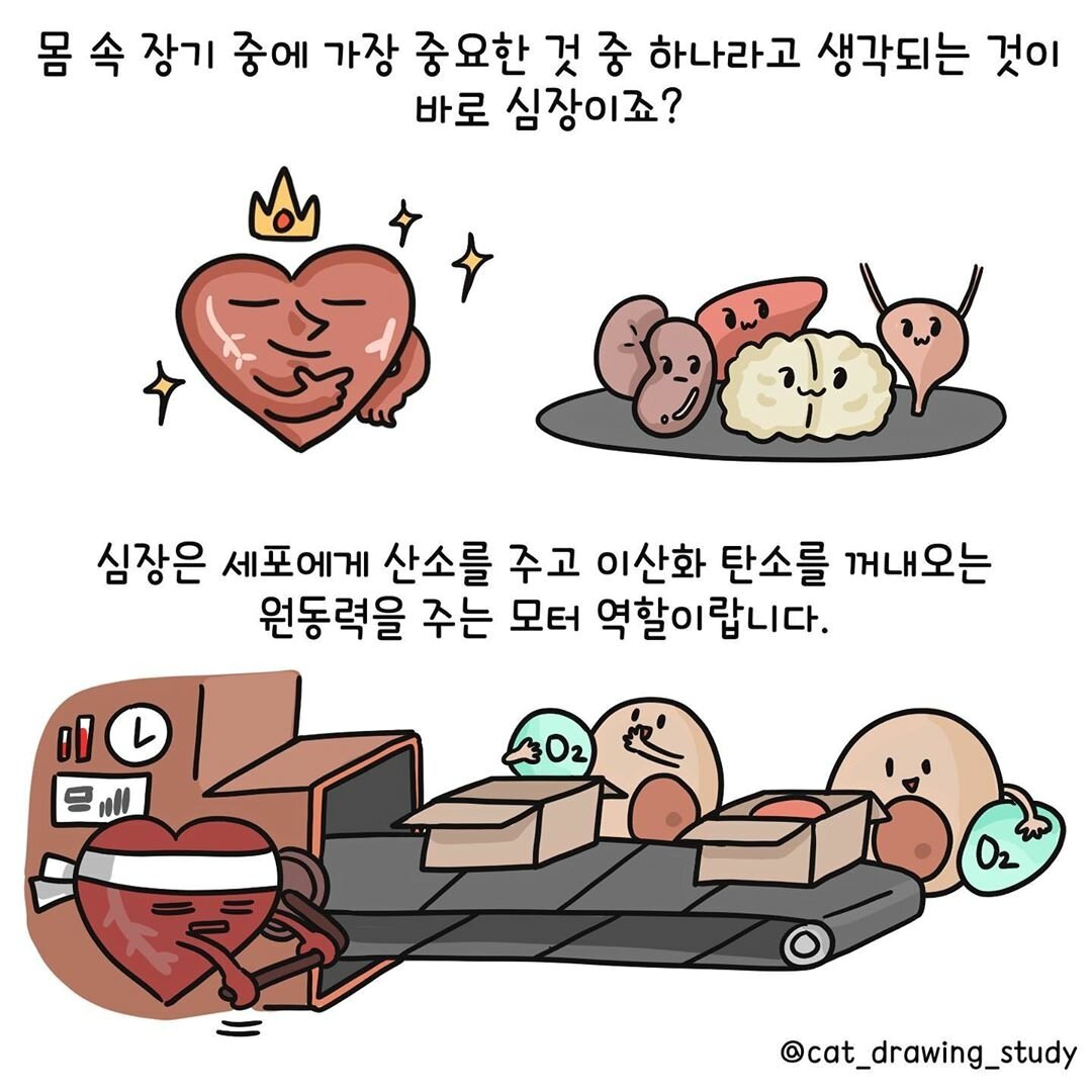 본문 이미지 -  