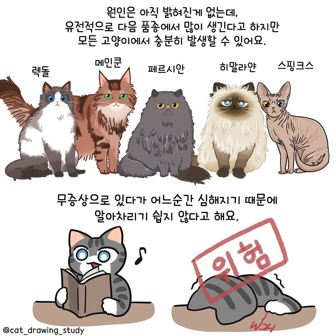 본문 이미지 -  