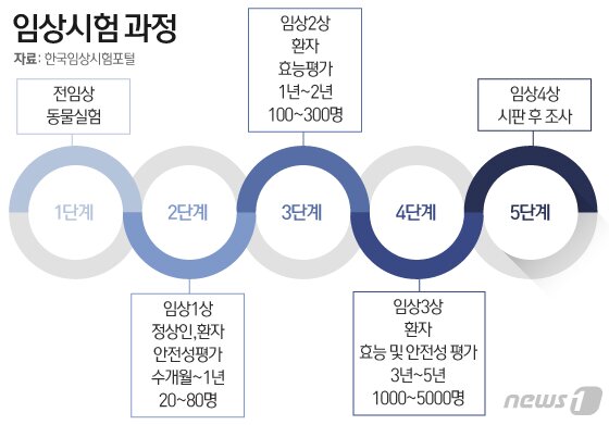 본문 이미지 - ⓒ 뉴스1 이은현 디자이너