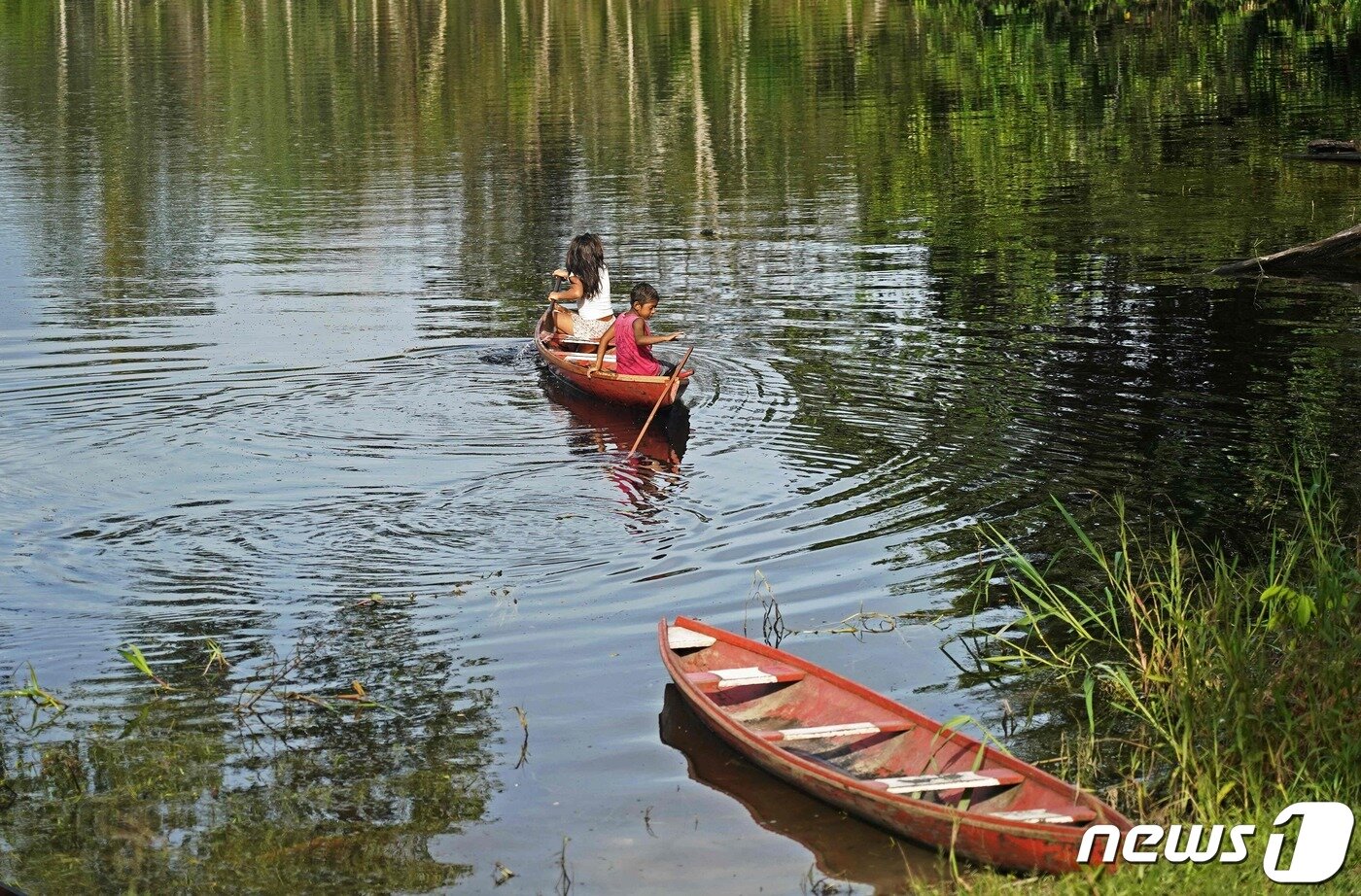 본문 이미지 - 브라질의 아마존 지역 ⓒ AFP=뉴스1