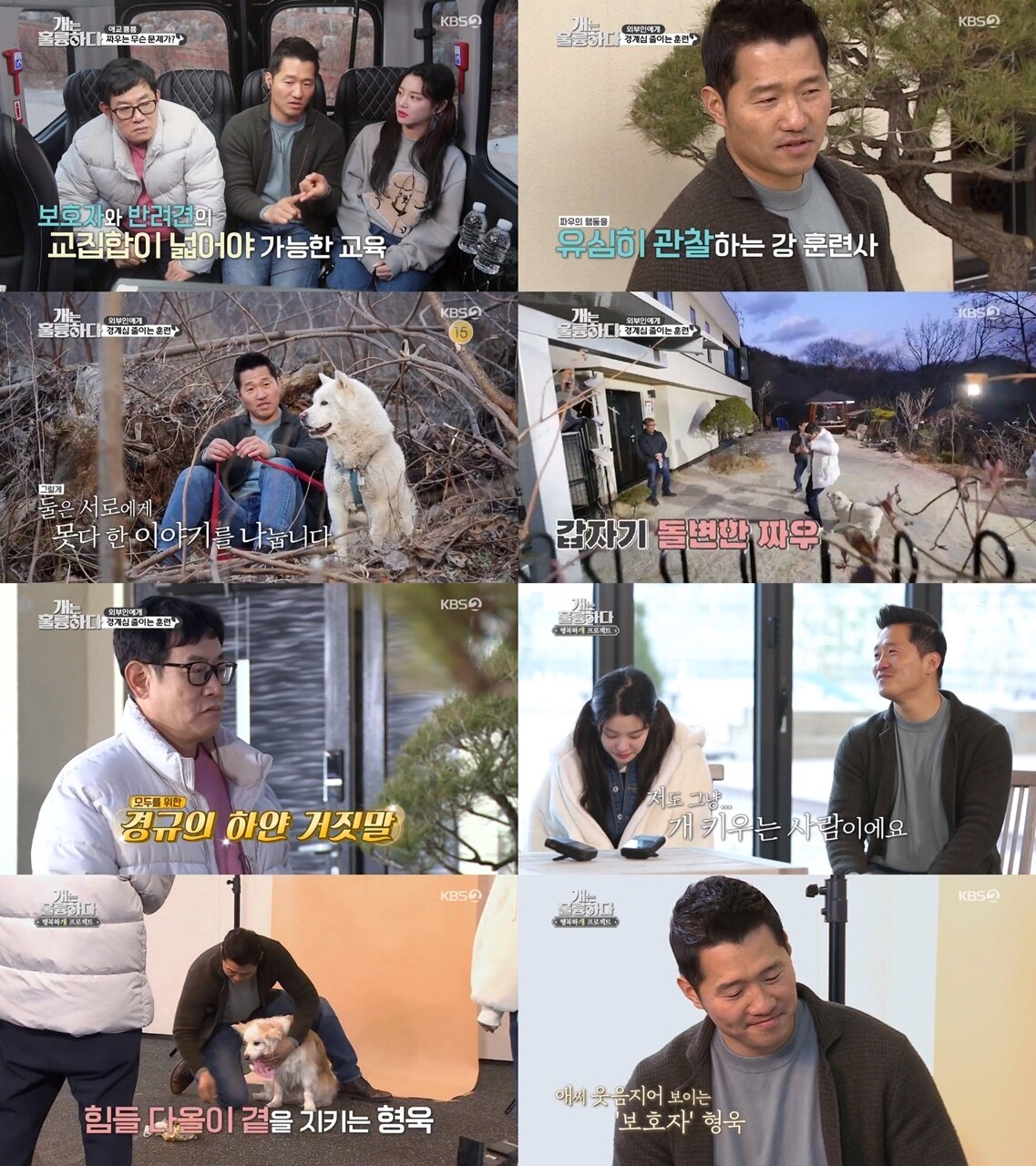 본문 이미지 - KBS '개는 훌륭하다' ⓒ 뉴스1