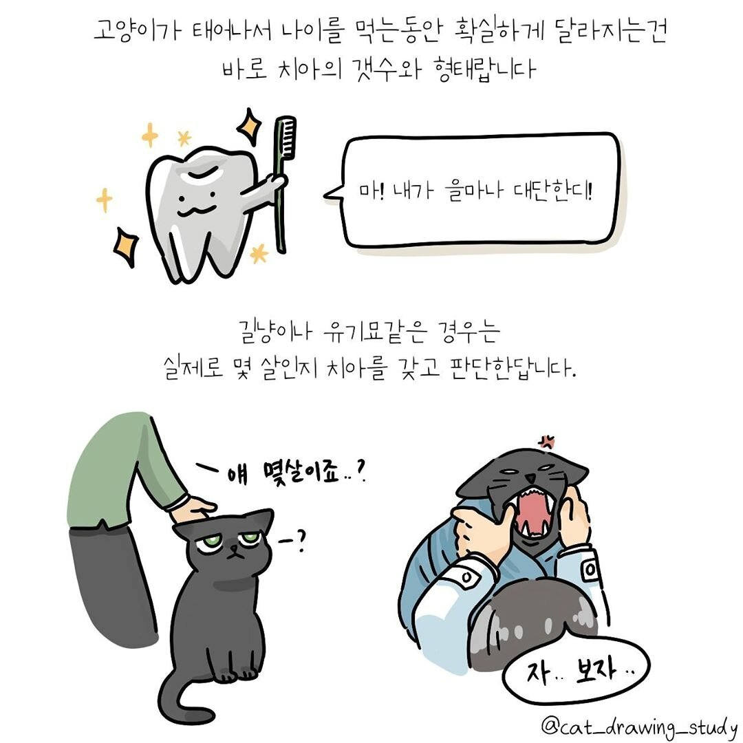 본문 이미지 -  