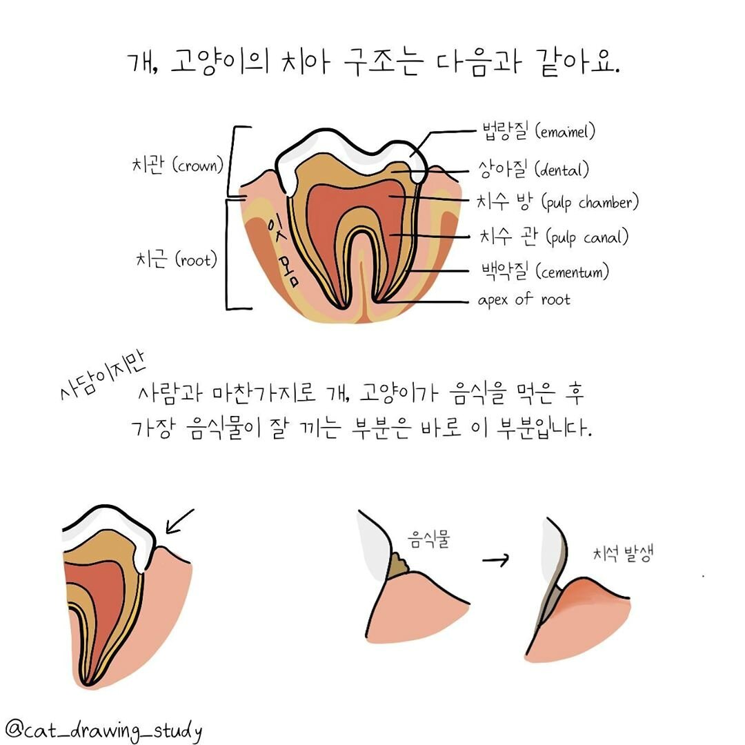 본문 이미지 -  