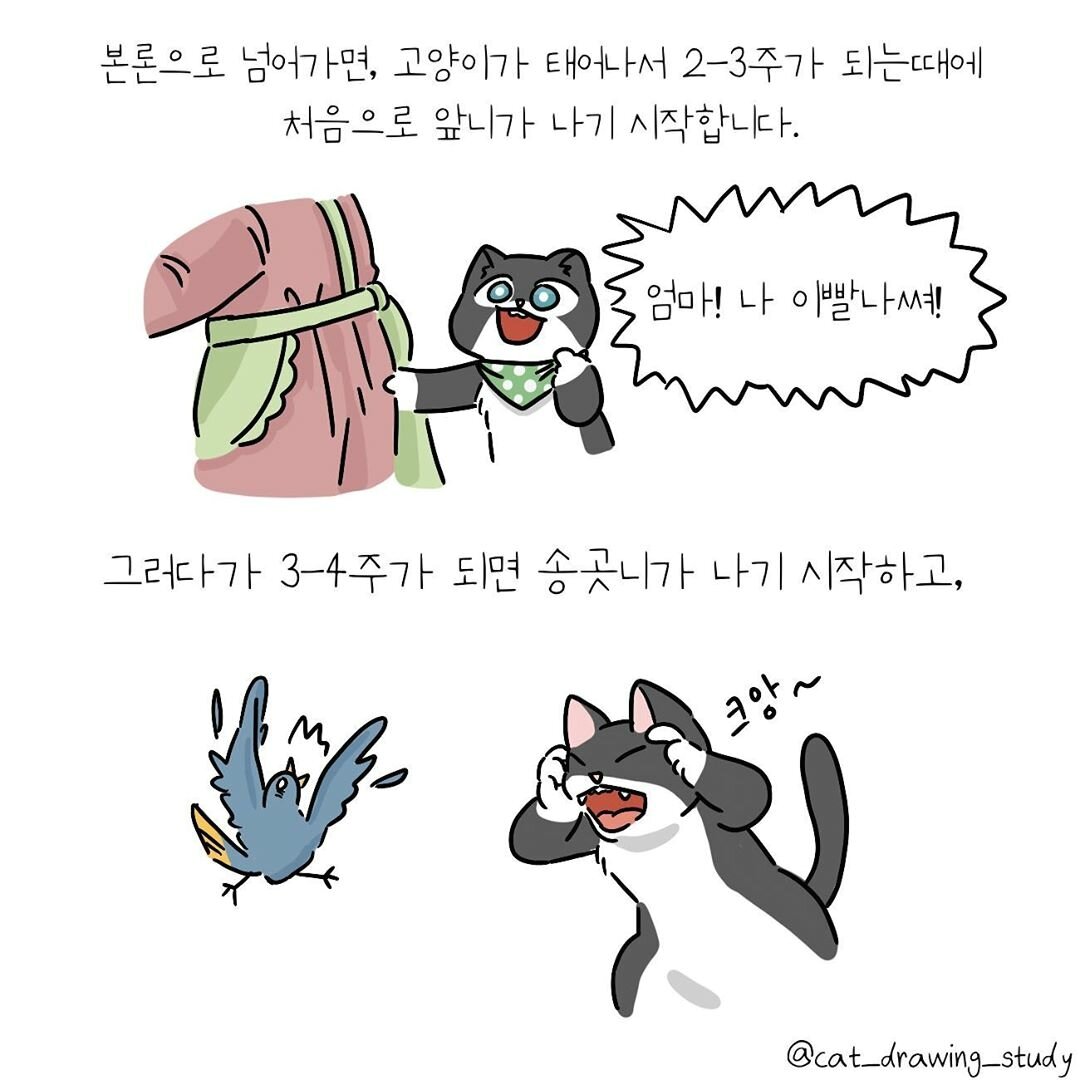 본문 이미지 -  